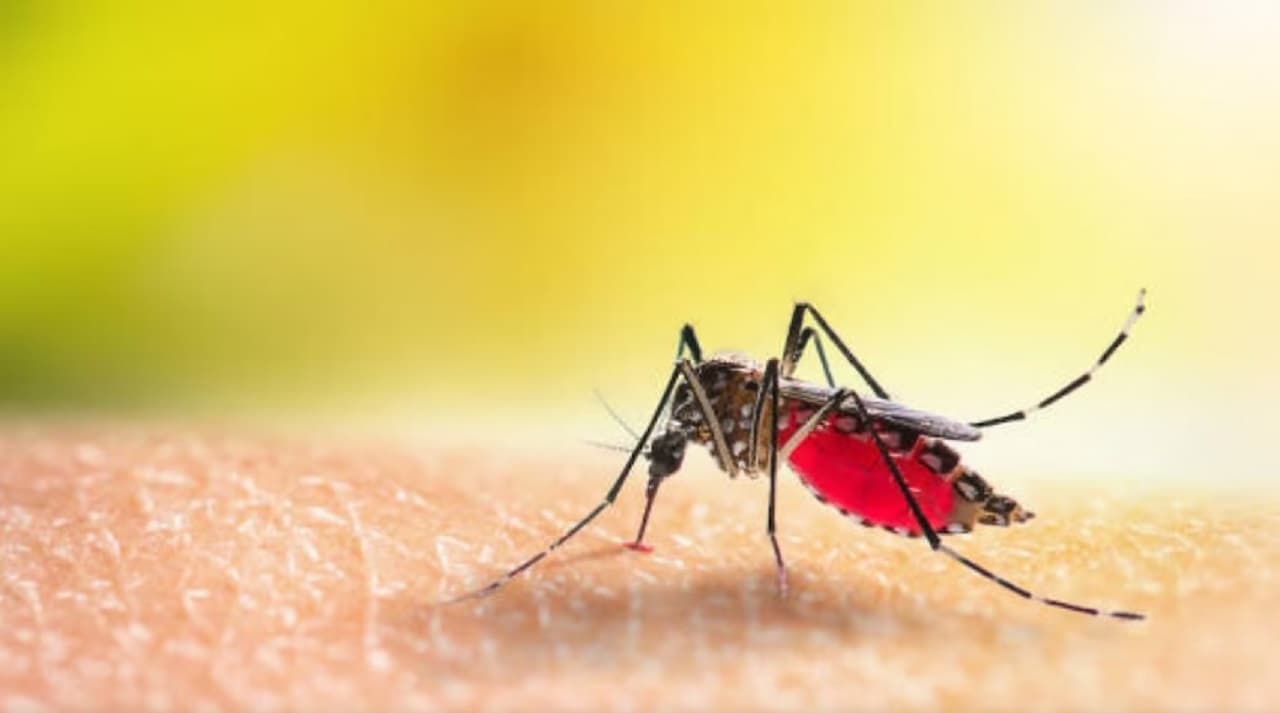 Dengue in Bihar: पटना में डेंगू से पांचवीं मौत, पीड़ितों की संख्या 400 के पार