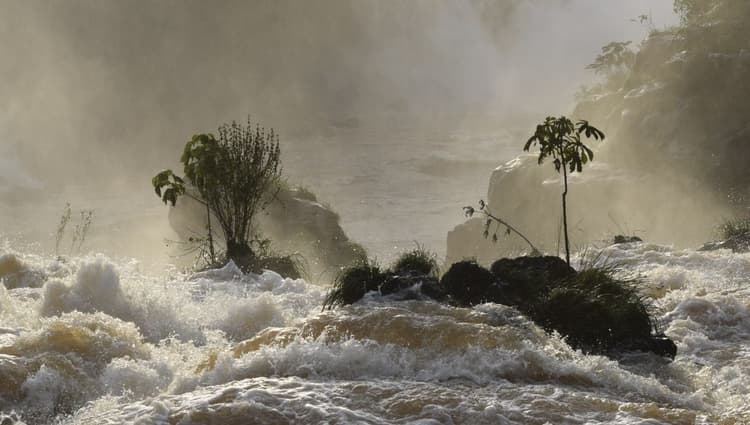 Bihar Flood: कोसी बराज से 1968 में छोड़ा गया था 9.13 लाख क्यूसेक पानी, अक्टूबर में डूबा था आधा बिहार