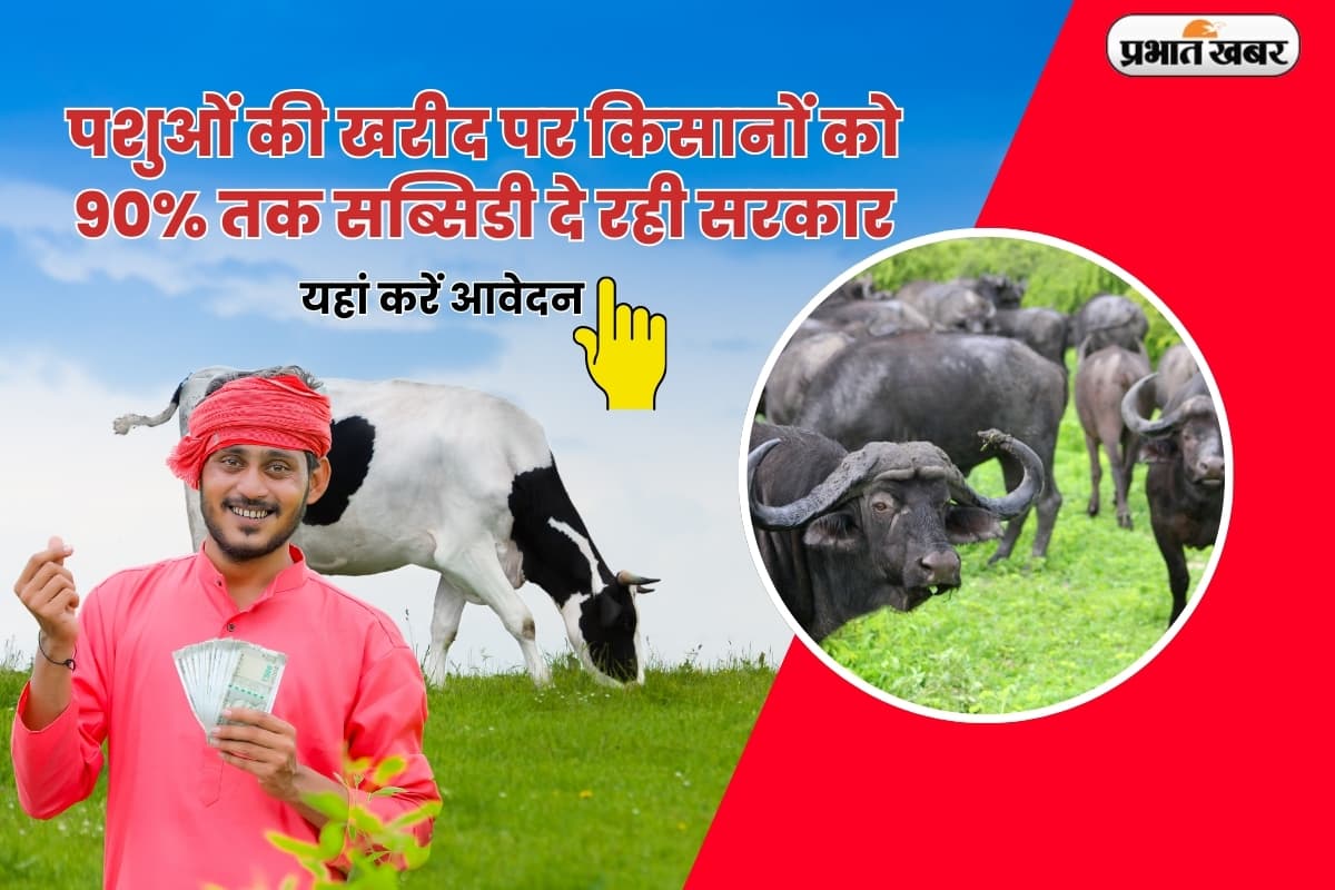 Loan: पशुओं की खरीद पर किसानों को 90%तक सब्सिडी दे रही सरकार, जानें कितना देना होगा किस्त