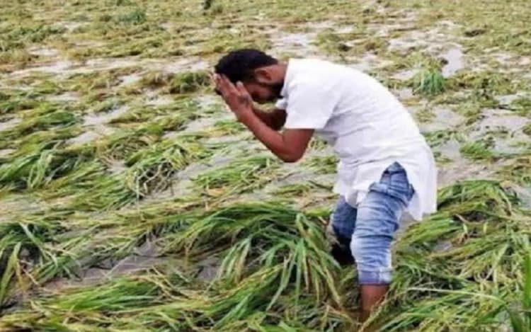 Bihar Weather: बिहार में मौसम के बदलाव से किसान चिंतित, जानें कब तक आसमान में छाया रहेगा बादल