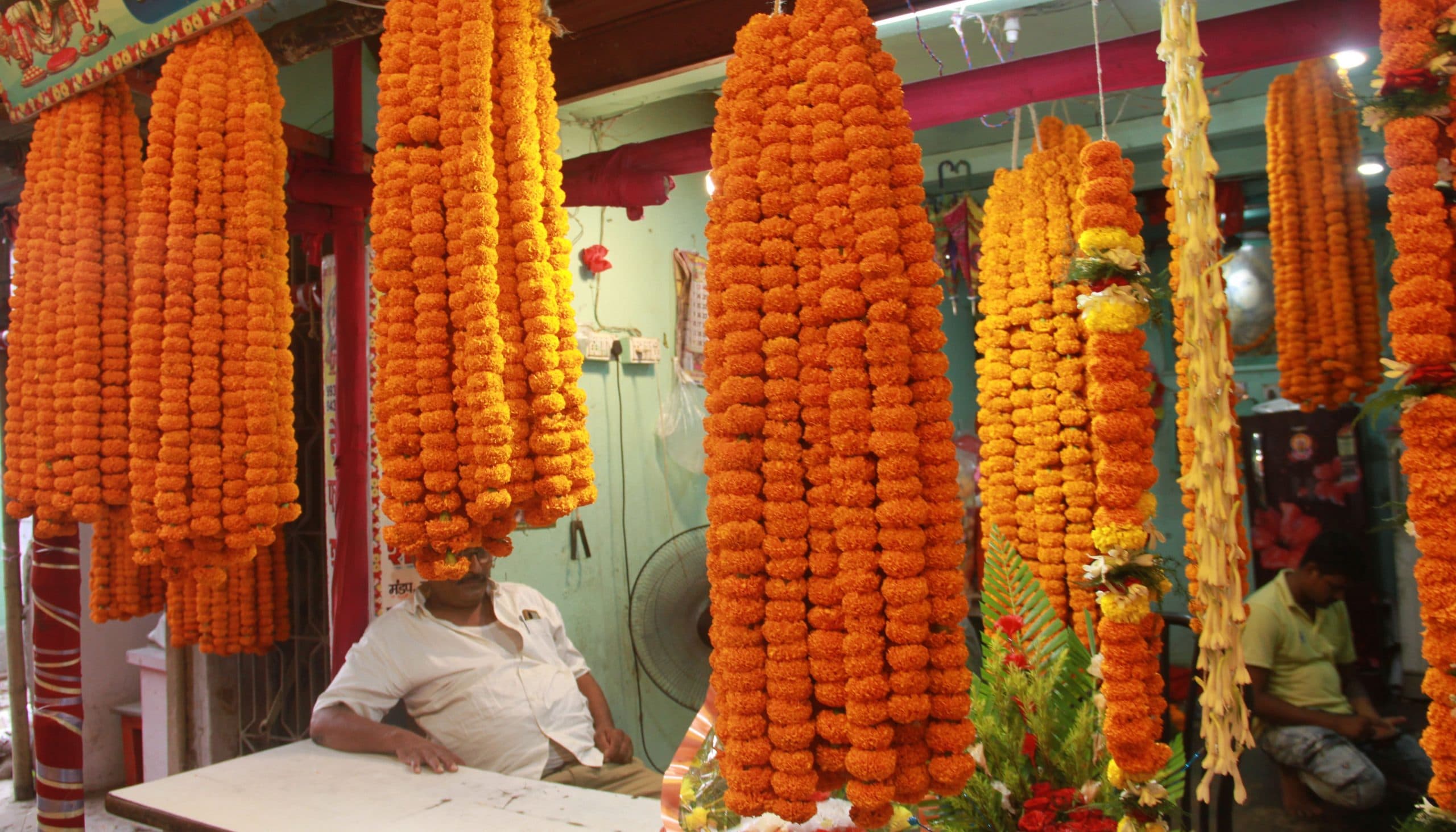 Navratri 2024: भागलपुर में फूल हुए महंगे, फलों के दाम में भी भारी इजाफा, जानें ताजा भाव