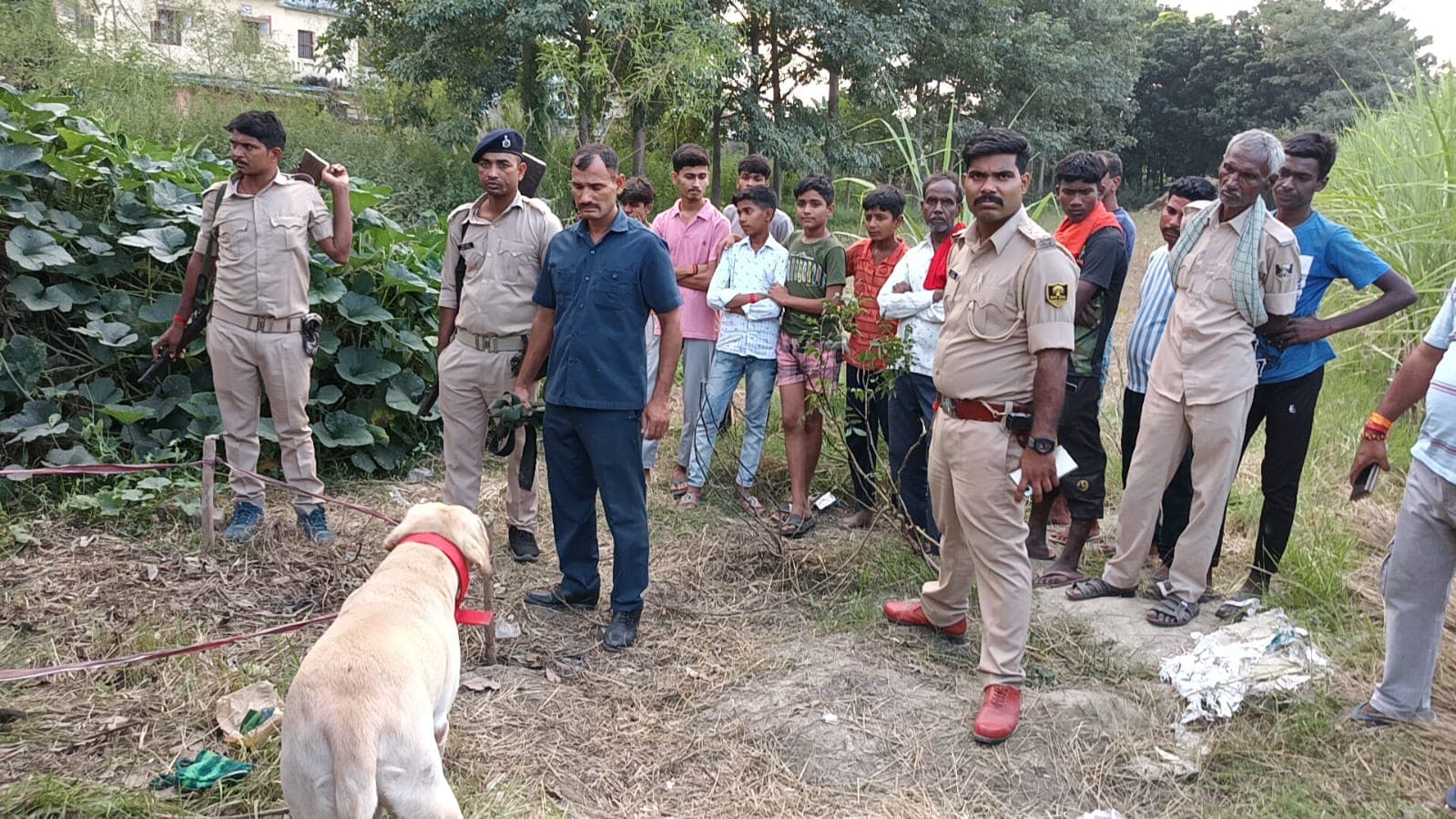 Bihar News: बिहार में 9 महीने की बच्ची को उठाकर ले गया भेड‍़िया! पुलिस को घर के पीछे मिले खून के धब्बे
