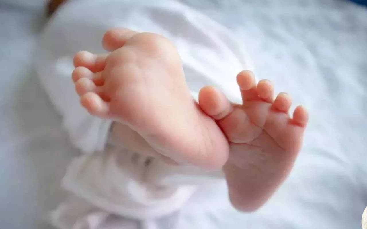 दशहरा के दिन उजड़ गई मां की कोख, रात में मां की गोद में सोया मासूम, सुबह झाड़ियों में मिला शव 