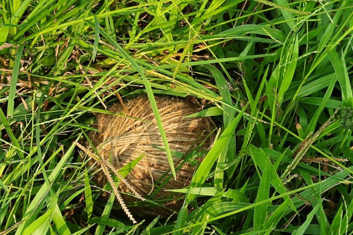 Jharkhand News: धनबाद में मिला जिंदा बम, पुलिस ने शुरू की छानबीन, इलाके में फैली दहशत