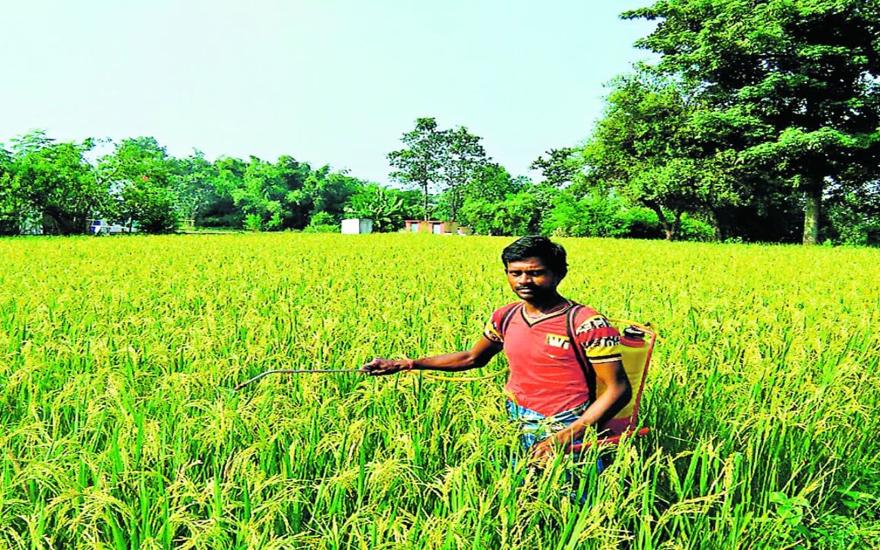 Cooperative Bank: किसानों के लिए हर जिले में खोला जा रहा सहकारिता बैंक, जानें कैसे मिलेगा फायेदा