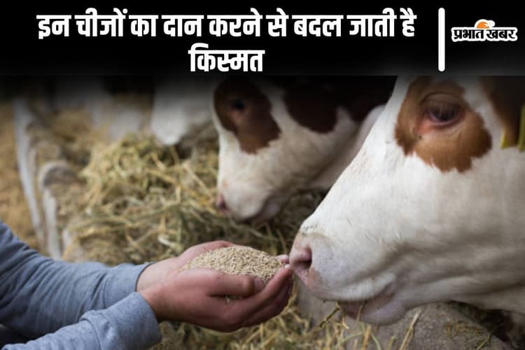 Vastu Tips: इन चीजों का दान करने से बदल जाती है किस्मत