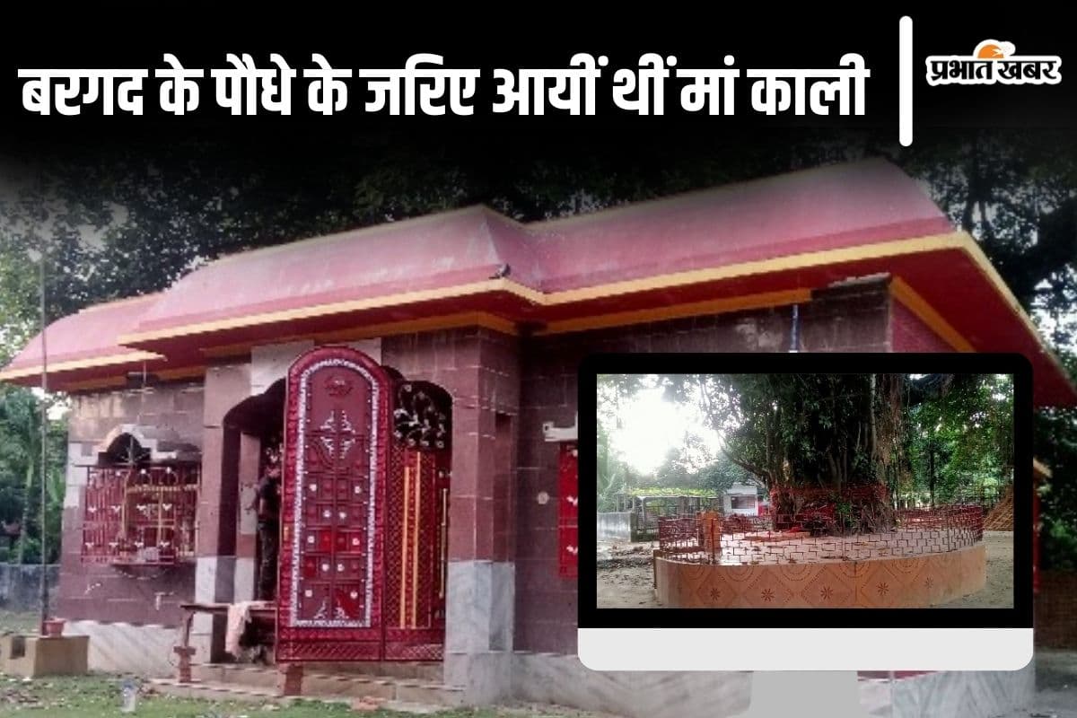 जब दुल्हन के खोईछा में आयी थीं मां काली, बिहार में बरगद के इस पेड़ और मंदिर का जानिए इतिहास...