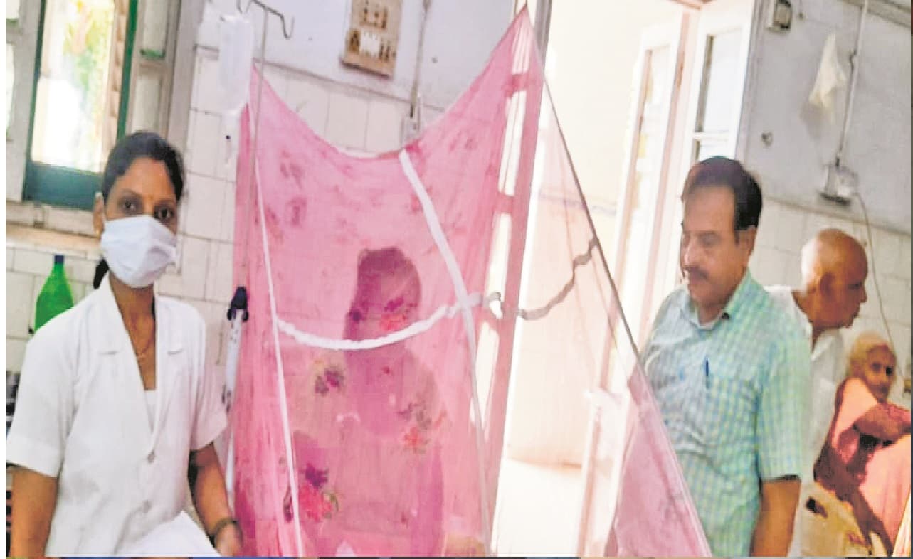 Dengu in gaya: गया में डेंगू का कहर, 227 लोगों की रिपोर्ट पॉजिटिव 