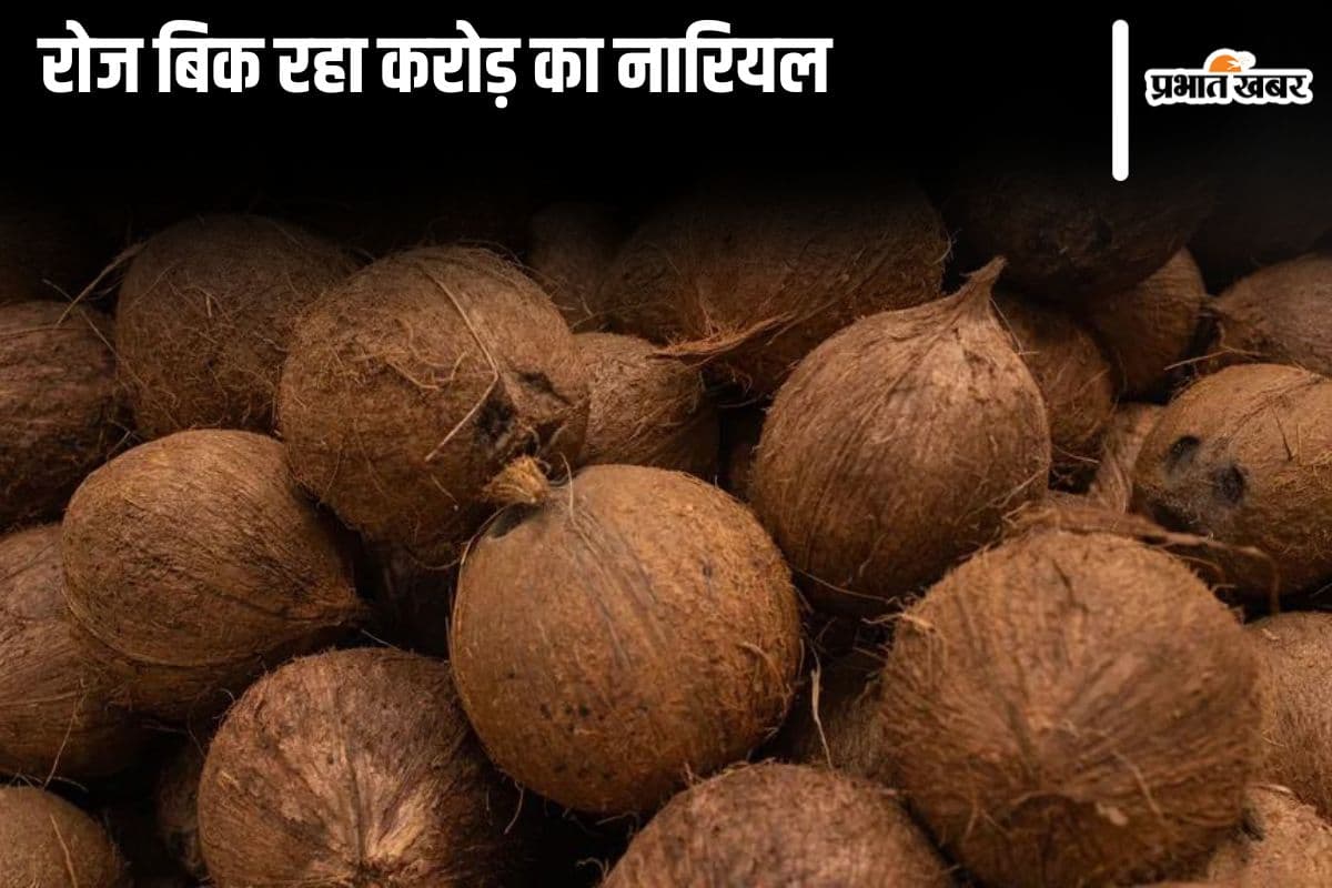 Durga Puja 2024: बिहार के इस जिले में दुर्गा पूजा को लेकर एक दिन में 1 करोड़ के बिक रहे नारियल