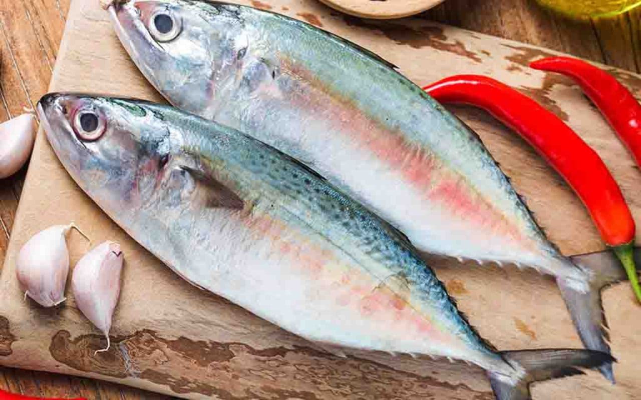 Patna News: ड्रोन से होटलों व घरों में भेजी जाएगी ताजी मछली, ललन सिंह ने किया ऐलान