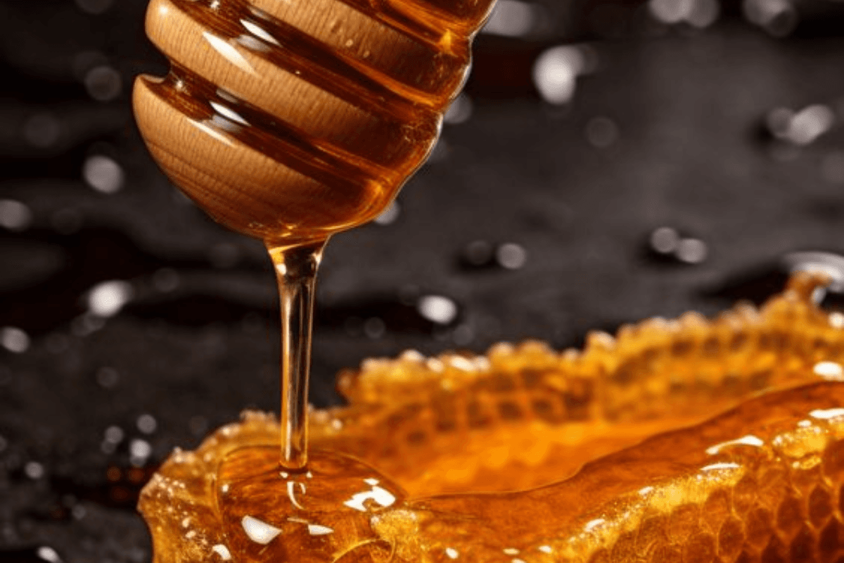 Honey Tips: गरम चीजों में शहद मिलाने से हो सकता है सेहत को नुकसान, जानें कारण Honey Tips: गरम चीजों में शहद मिलाने से हो सकता है सेहत को नुकसान, जानें कारण