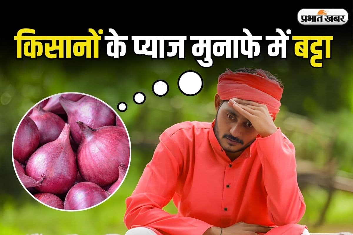 Onion: किसानों के पास नहीं पहुंच रहा प्याज का मुनाफा,खा रहा है कौन?