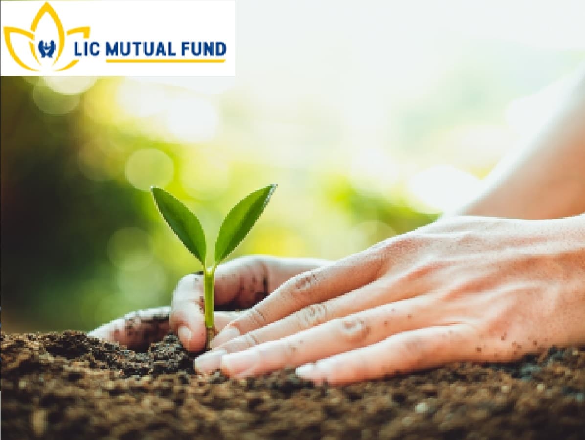 एसआईपी नहीं…एलआईसी एमएफ में लगाएं सिर्फ 5000 रुपये, 1.75 करोड़ से अधिक की कमाई