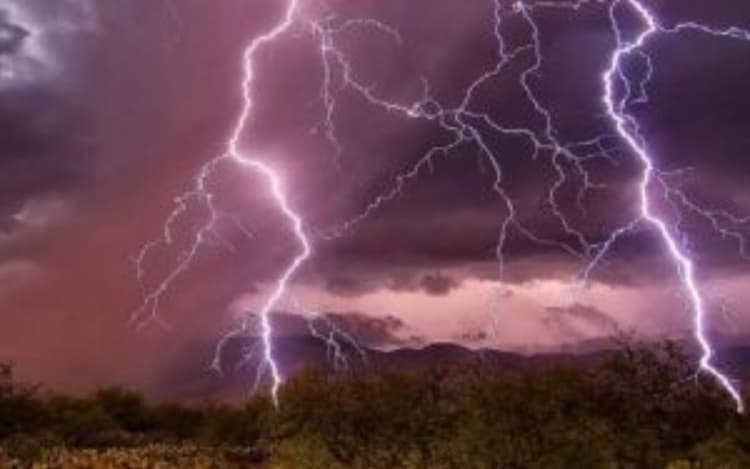 Bihar Lightning: बिहार में वज्रपात ने मचाया कोहराम, युवक की गई जान, दो गाय भी मरी