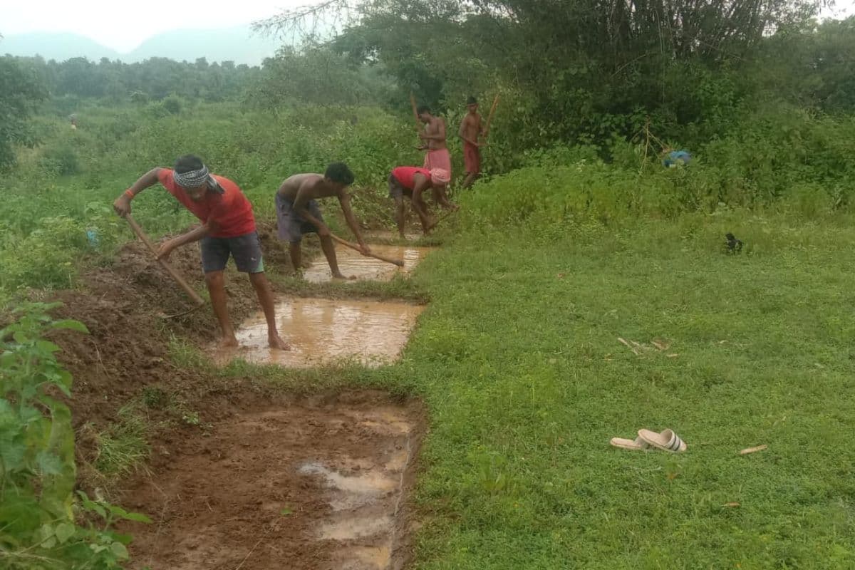 Jharkhand News: मजदूरी का भुगतान किए बिना मस्टर रोल डिलीट, दर-दर भटक रहे मनरेगा मजदूर