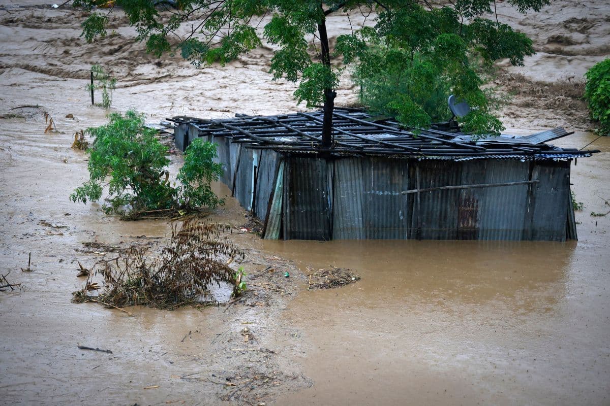 Rain Alert: नेपाल में भारी बारिश का नया अलर्ट जारी, बाढ़ और भूस्खलन से 240 से अधिक की मौत