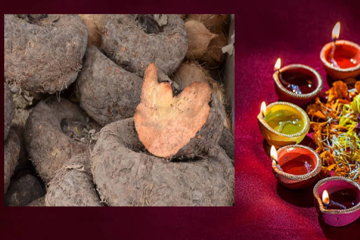 Suran ki sabji on Diwali: दिवाली पर खास तौर पर बनती है जिमींकमद की सब्जी, जानिए वजह
