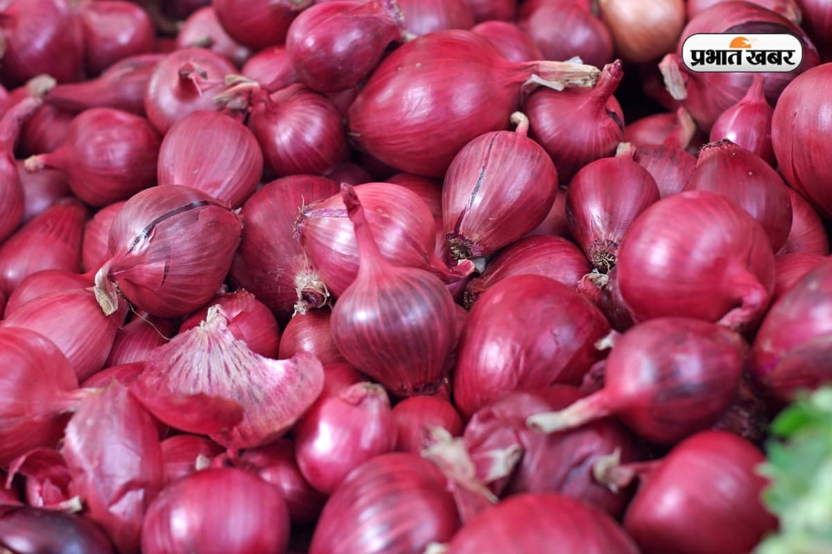Onion Price: प्याज के दाम पर लगेगी लगाम, मुनाफाखोरों पर सरकार के हमले में पहली बार रेलवे की एंट्री