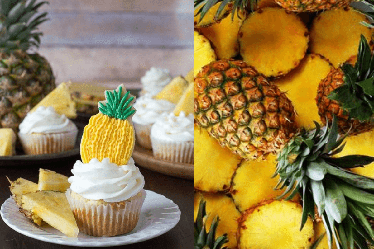 Pineapple Cupcake Recipe: पाइनऐप्पल कप केक बनाना है बेहद ही आसान, जानें यह रेसिपी Pineapple Cupcake Recipe: पाइनऐप्पल कप केक बनाना है बेहद ही आसान, जानें यह रेसिपी