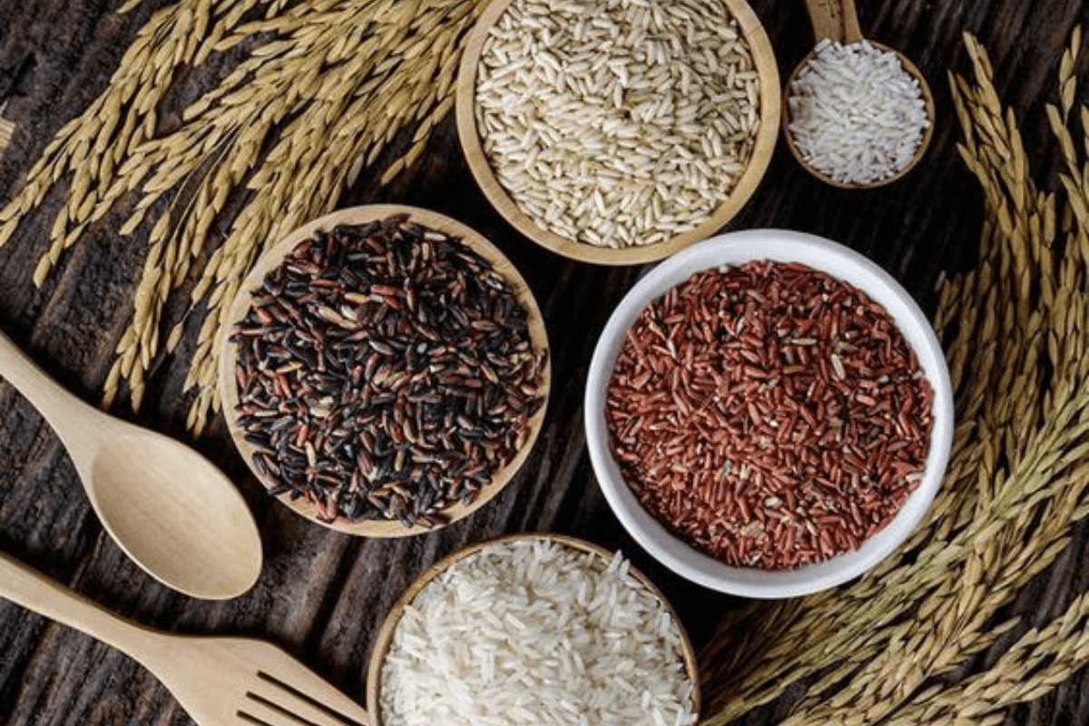 Sama Rice Benefits Sama Rice Benefits