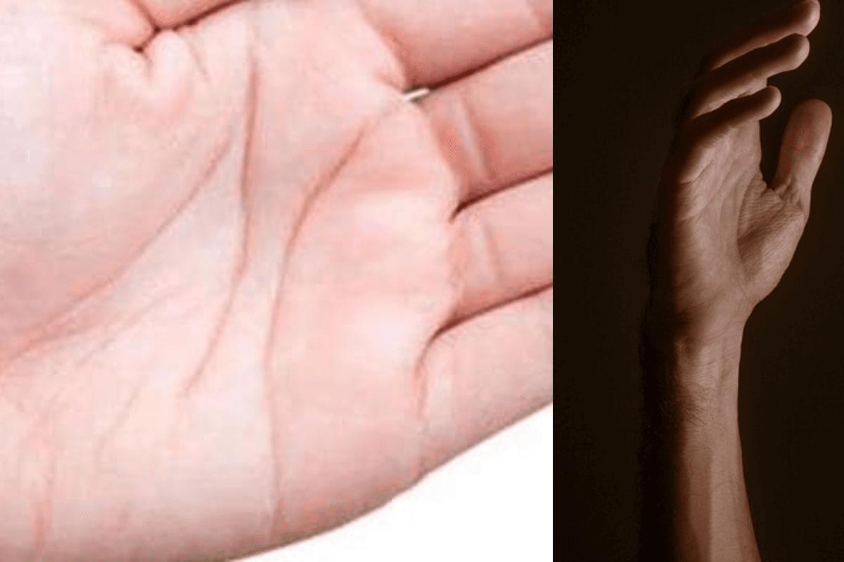 Fate Line: हाथों की भाग्य रेखा जानिए क्या कहती है आपके के बारे में