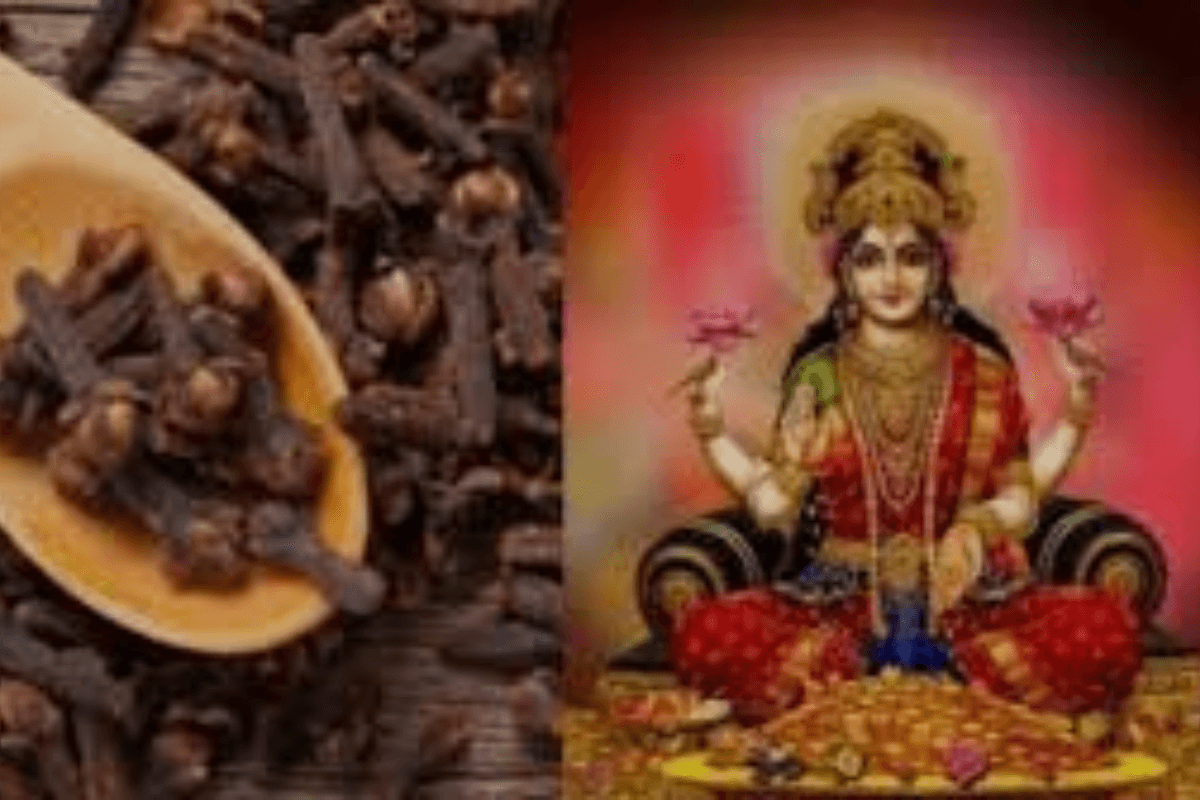 Clove Remedies: नवरात्रि में अपनाएं लॉन्ग के अद्भुत उपाय बदलें अपनी किस्मत