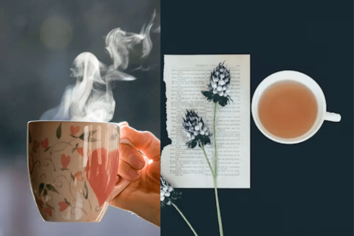 Tea Benefits: चाय पीने के फायदे जानने के बाद आप अगली बार 'ना' नहीं कह पाएंगे