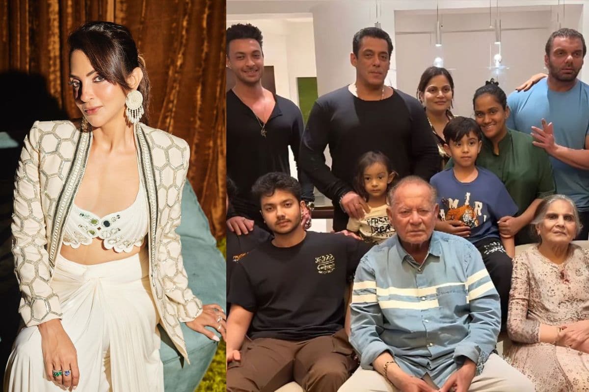 Salman Khan: खान परिवार की एक्स बहु ने सलमान के घरवालों के साथ रियूनियन पर दिया खास जवाब, कहा 'वह हमेशा आपके साथ…'