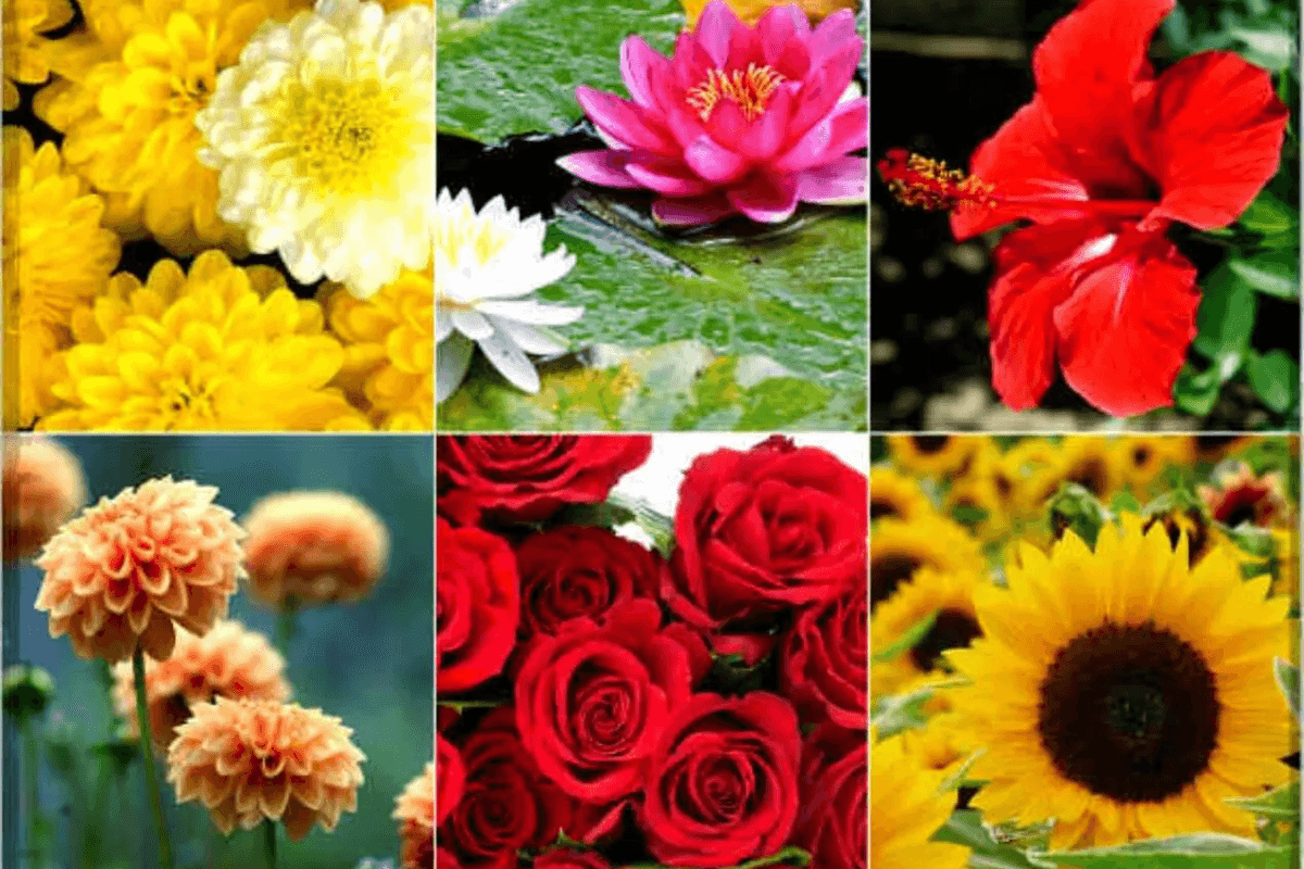 Navratri puja: नवरात्रि में मां दुर्गा को अर्पित करें ये विशेष फूल और पाएं उनकी कृपा