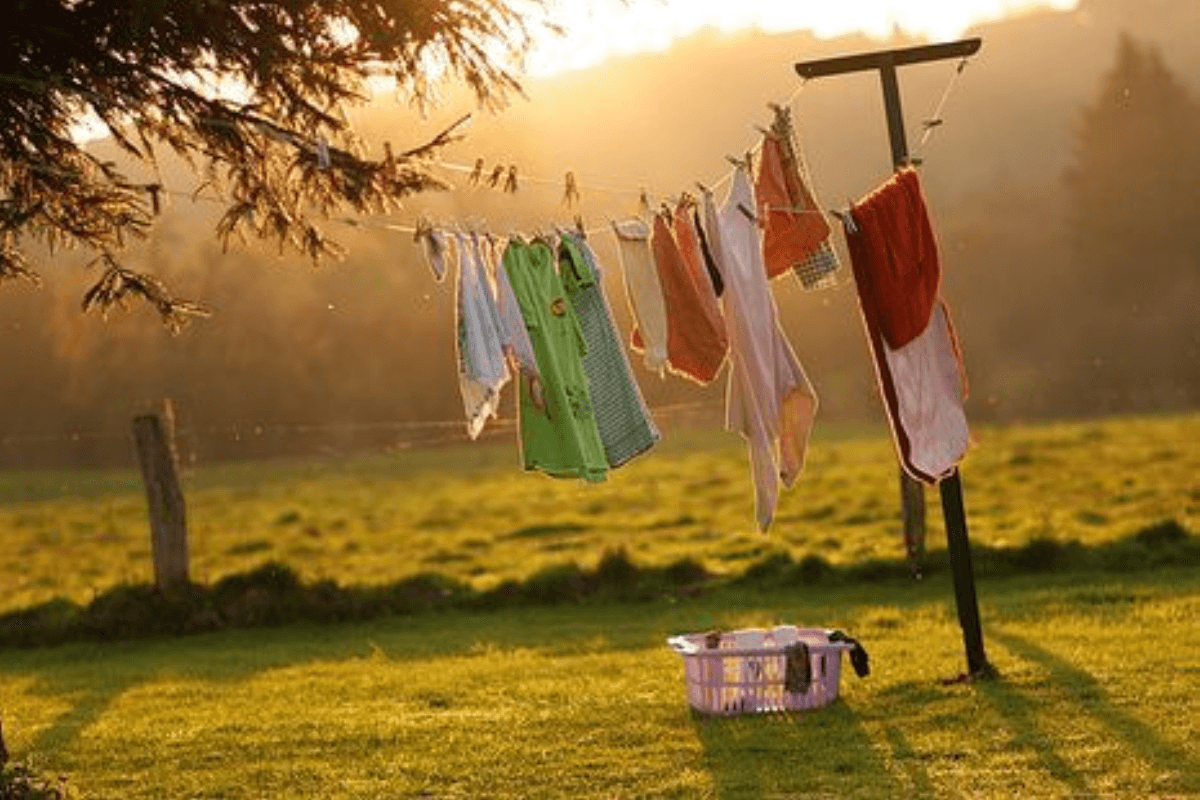 Vastu Tips for Washing Clothes: शाम के समय कपड़े धोने से बचें, जानें वास्तु के अनुसार सही समय और तरीके