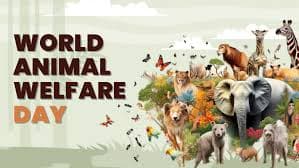 World Animal Welfare Day 2024: 4 अक्टूबर को मनाया जाता है इस दिन को, जानें हर सवाल का जबाब
