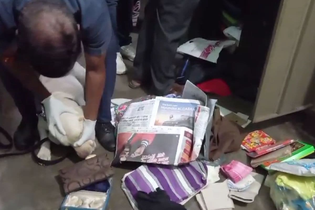 Bihar News: गया में शिक्षक के घर हाफ पैंट में घुसे चोर फूल पैंट में लौटे, लाखों लेकर हुए फरार, पुलिस भी हैरान