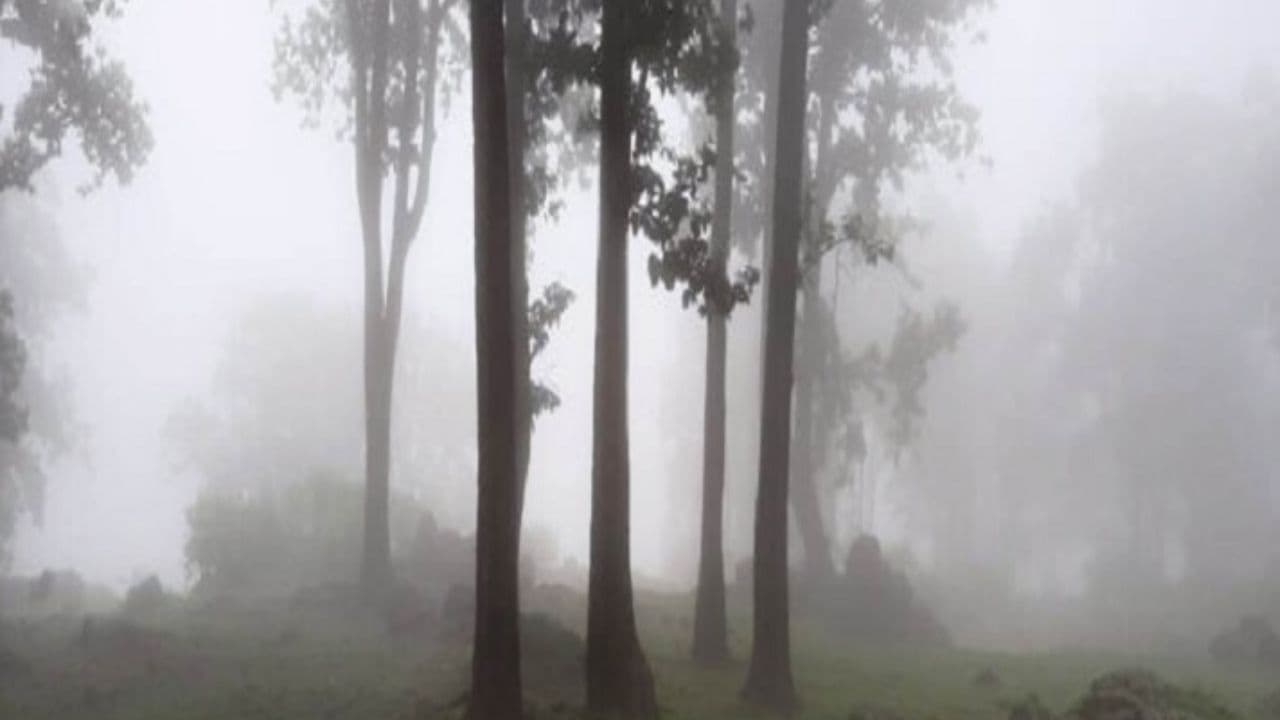 Bihar Weather: बिहार में बदला मौसम का मिजाज, अब गुलाबी ठंड की ओर बढ़ीं रातें