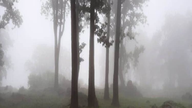 Bihar Weather: बिहार में बदला मौसम का मिजाज, अब गुलाबी ठंड की ओर बढ़ीं रातें