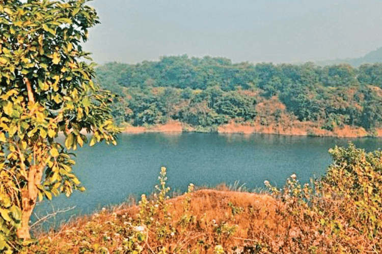 Ranchi News: केज कल्चर और बंद खदानों में मछली पालन कर लोग आर्थिक रुप से हो रहे सशक्त, जानिए क्या होता है केज कल्चर