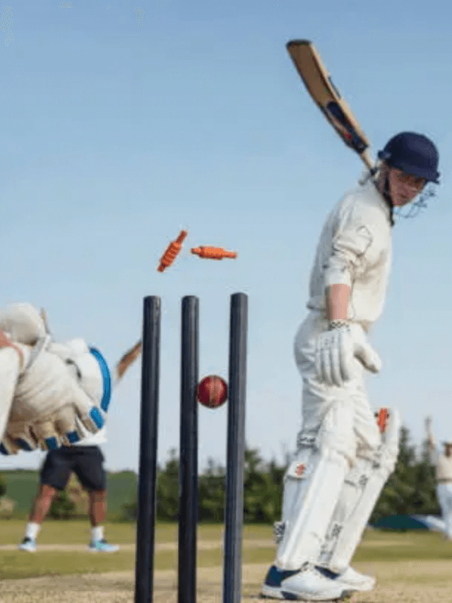 Hindi name of cricket: क्रिकेट का नाम हिंदी में क्या है