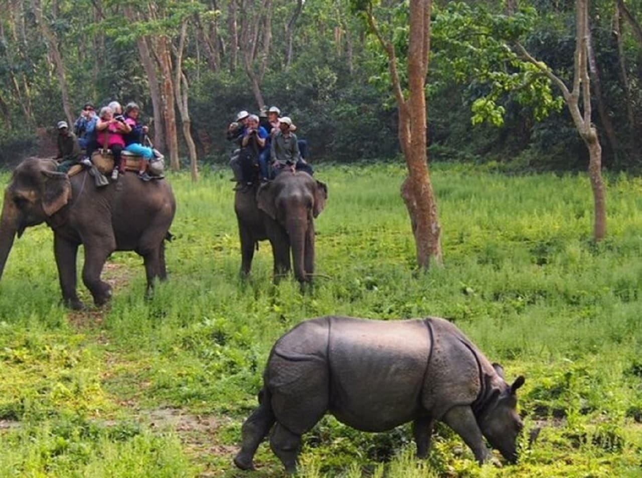 Bihar Tourism: टूरिस्ट के लिए खुल गया बाल्मिकी टाइगर रिजर्व, टाइटेनिक प्वाइंट बढ़ायेगा पर्यटकों में रोमांच