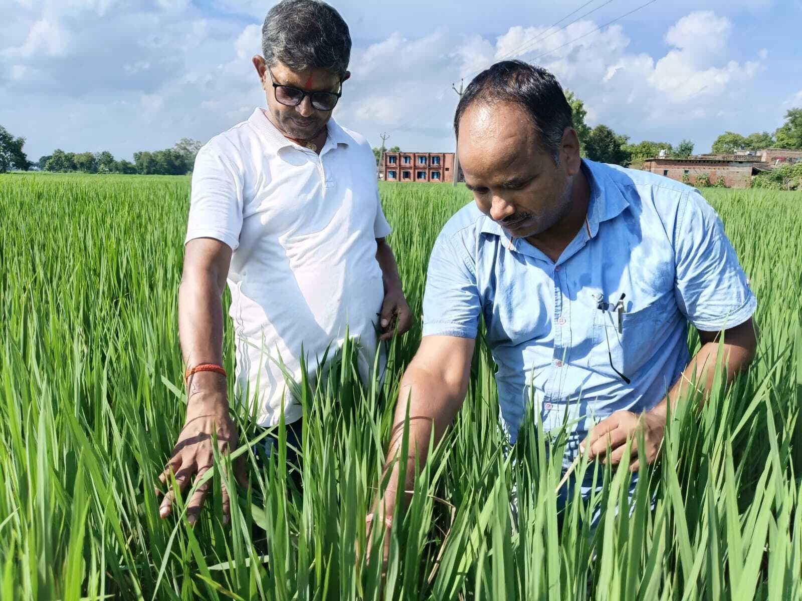 Aurangabad News : बेसब्री से हथिया नक्षत्र के बारिश का इंतजार कर रहे किसान