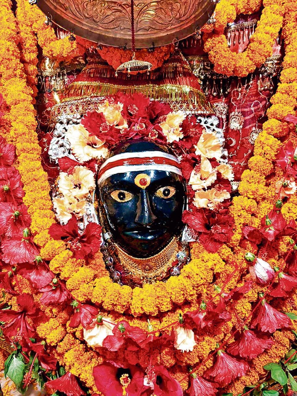 Gopalganj News  : थावे में मां सिंहासनी के दर्शन के लिए कल से उमड़ेगा श्रद्धालुओं का सैलाब, मंदिर सजाने व संवारने का कार्य अंतिम दौर में पहुंचा