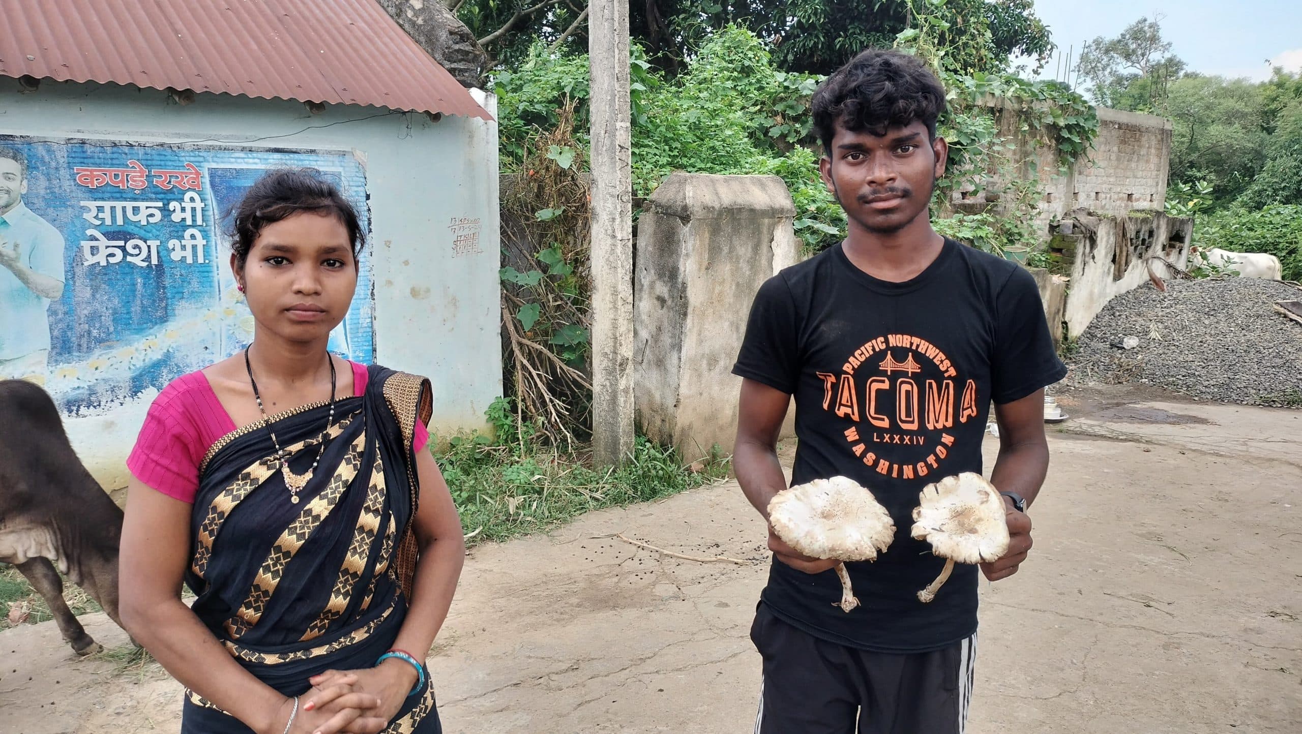 जंगली मशरूम खाने से एक ही परिवार के चार सदस्यों की बिगड़ी तबीयत