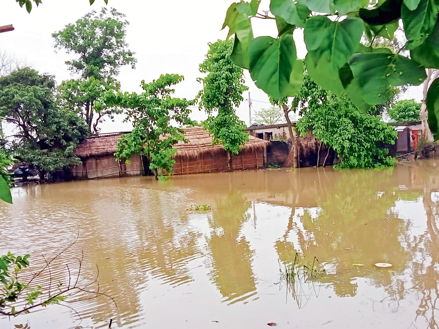 Gopalganj News  : गंडक नदी की लहरें शांत होने के बाद भी गांवों में तबाही झेल रही है 50 हजार की आबादी