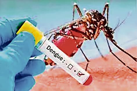 डेंगू से अथमलगोला की महिला की मौत, 23 नये मरीज मिले