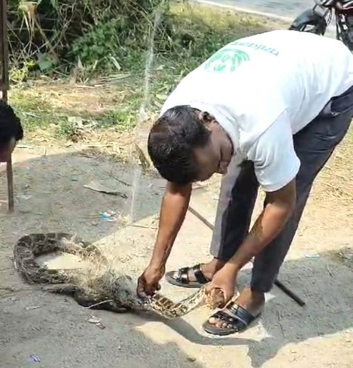 BOKARO NEWS : जाल में मछली की जगह फंसा विशाल अजगर