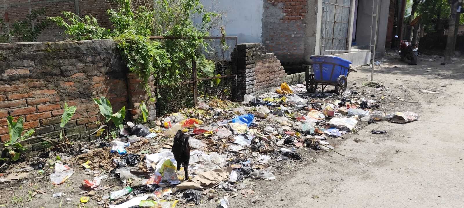 स्वच्छता अभियान को ठेंगा दिखा रहा है नपं के वार्ड नंबर आठ में जमा कूड़े का ढेर