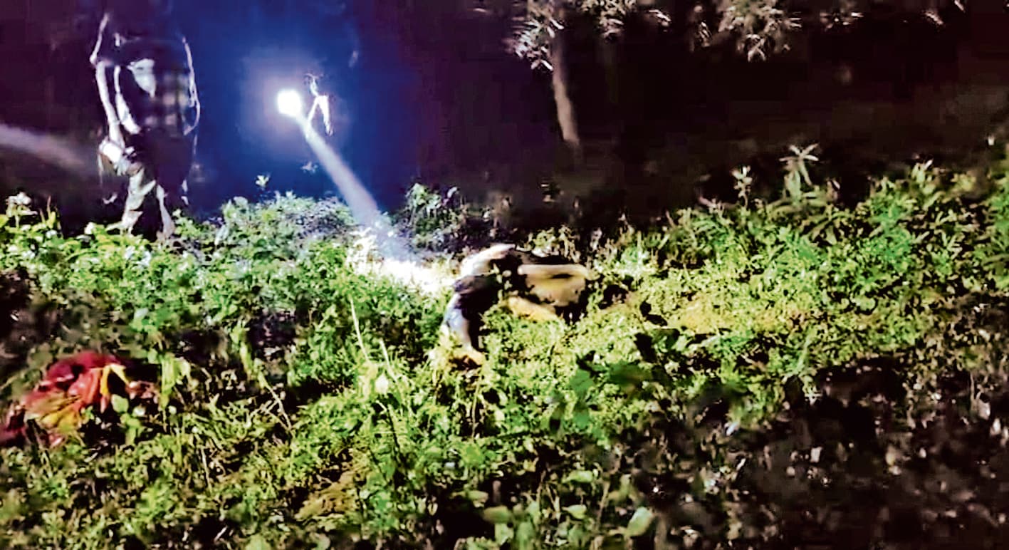 Rourkela News: कोइड़ा के पाटमुंडा गांव में दंतैल हाथी के हमले में ग्रामीण की मौत