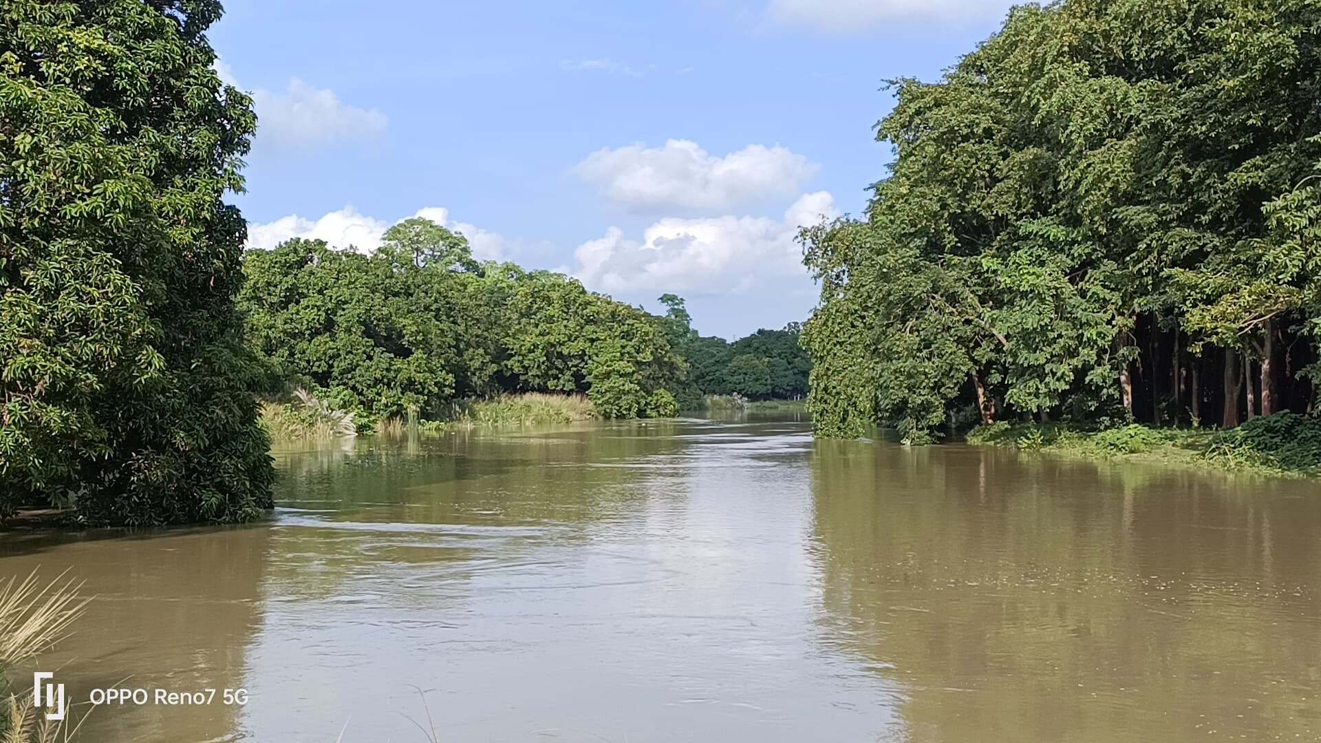 तटबंध किनारे के घरों तक पहुंचा बागमती का पानी, शहर पर बढ़ा बाढ़ का खतरा