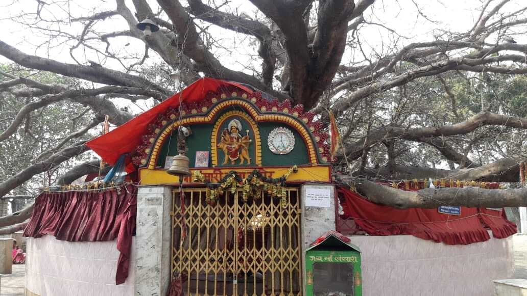 आज मां कुष्मांडा की होगी पूजा-अर्चना