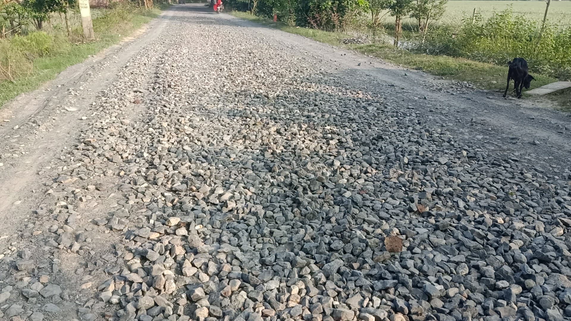 जोगबनी- सिलीगुड़ी इंटरसिटी एक्सप्रेस को चालू करने की मांग