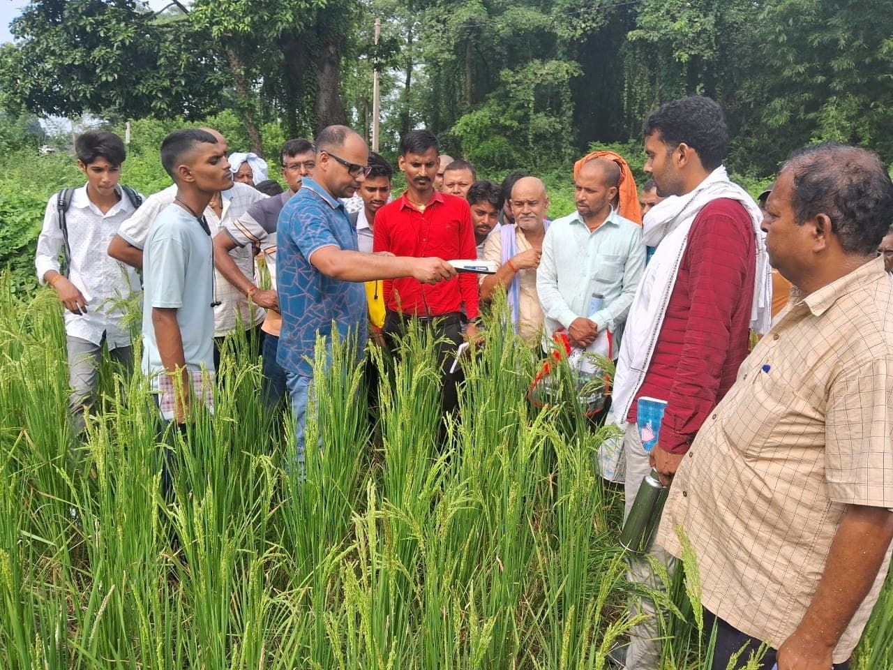Emphasis on practical training of green seeker use in crops फसलों में ग्रीन सीकर उपयोग का प्रायोगिक प्रशिक्षण लेने पर जोर