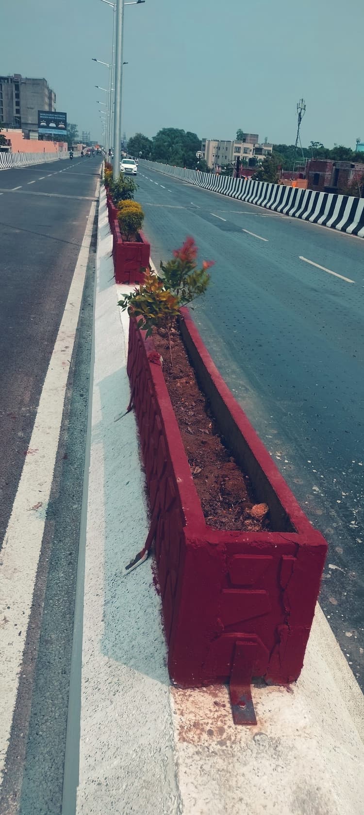 Ranchi News : फ्लाइओवर में लगी घास और गमले से पौधे होने लगे गायब